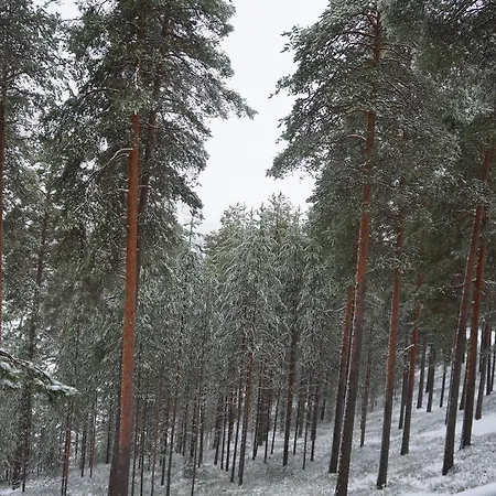 Hotel Tulikettu Sotkamo