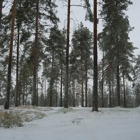 Tulikettu 4* Sotkamo