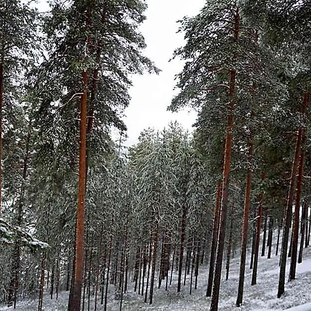 Tulikettu Hotell Sotkamo
