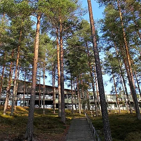 Tulikettu 4* Sotkamo